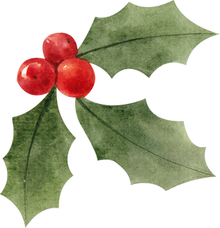 Watercolor Holly Berries