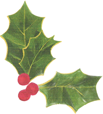 Collage Christmas Pressed Holly